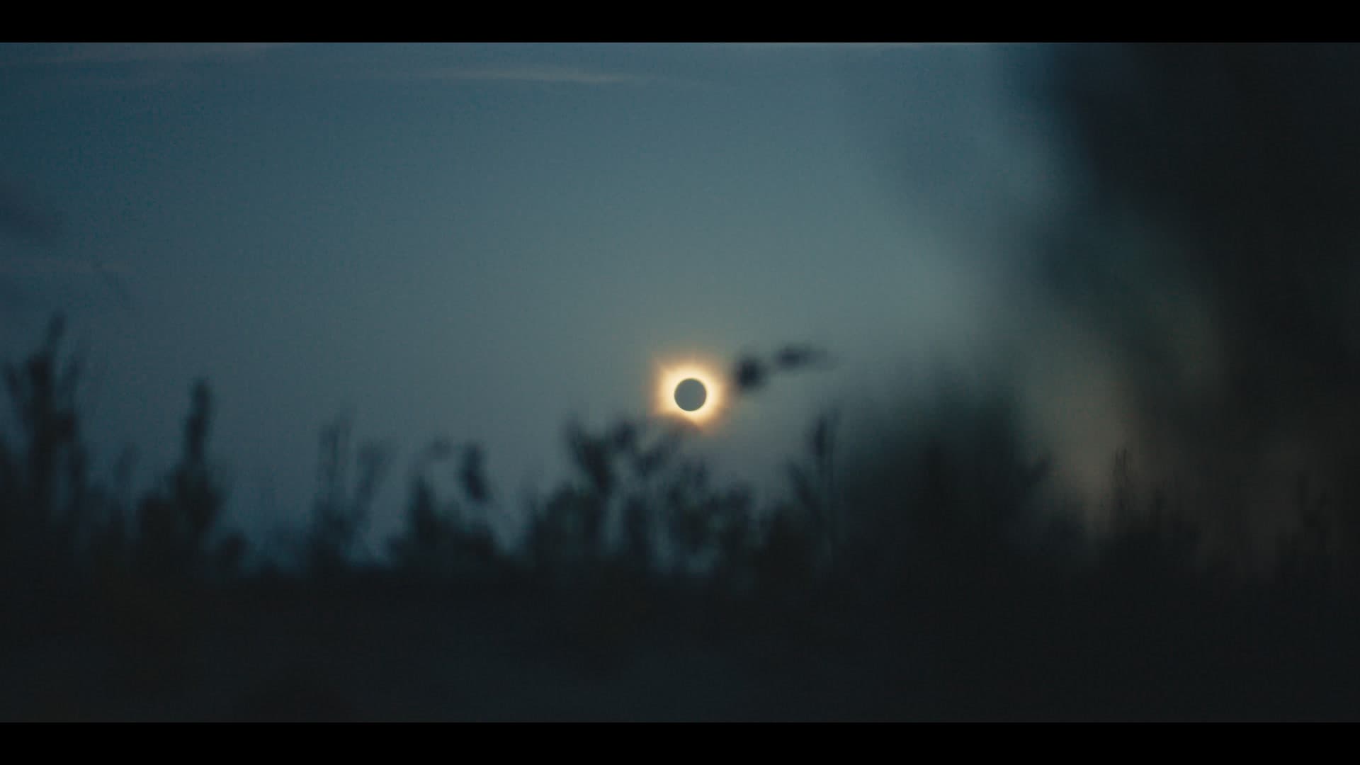 Totality