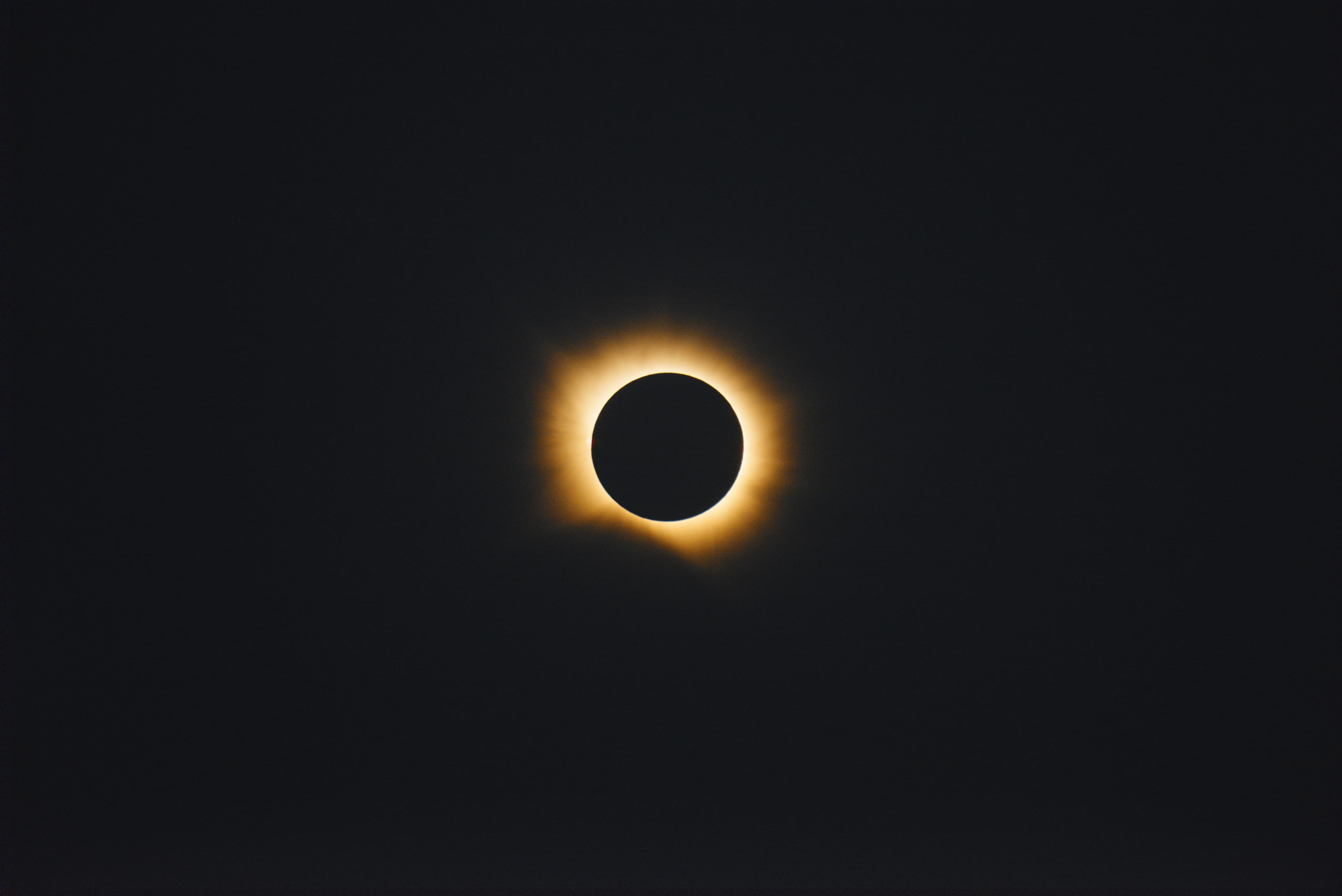 The Corona